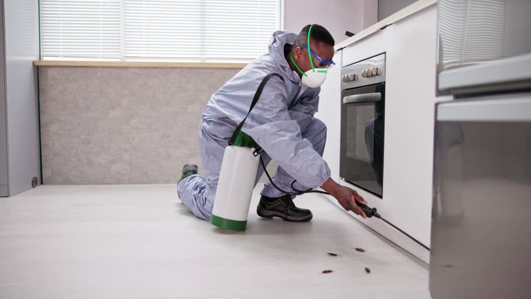 Best Pest Exclusion Services  in Channelview, TX